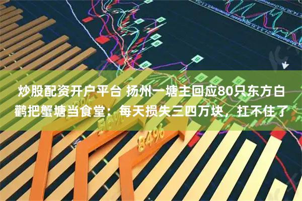 炒股配资开户平台 扬州一塘主回应80只东方白鹳把蟹塘当食堂：每天损失三四万块，扛不住了