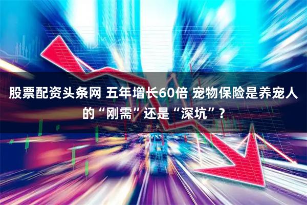 股票配资头条网 五年增长60倍 宠物保险是养宠人的“刚需”还是“深坑”？